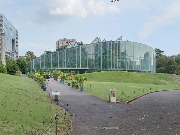 新宿御苑の大温室がスゴイ 緻密に設計されたその魅力をレポート トーキョー建築トリップ