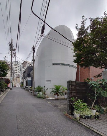 ナチュラルエリップス