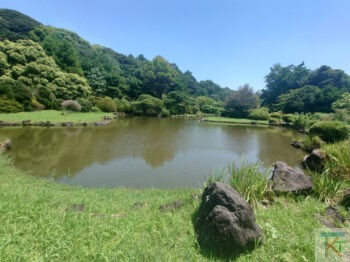小石川植物園