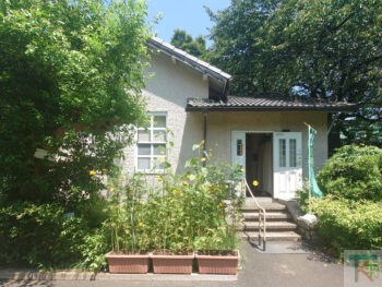 小石川植物園