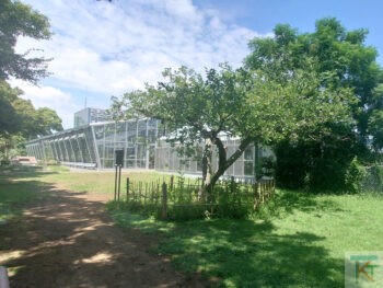 小石川植物園