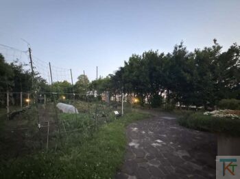 大橋ジャンクション