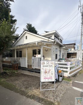 ジョンソンタウン