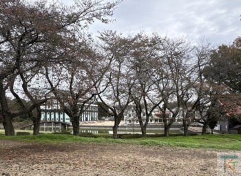 盈進学園 東野高等学校